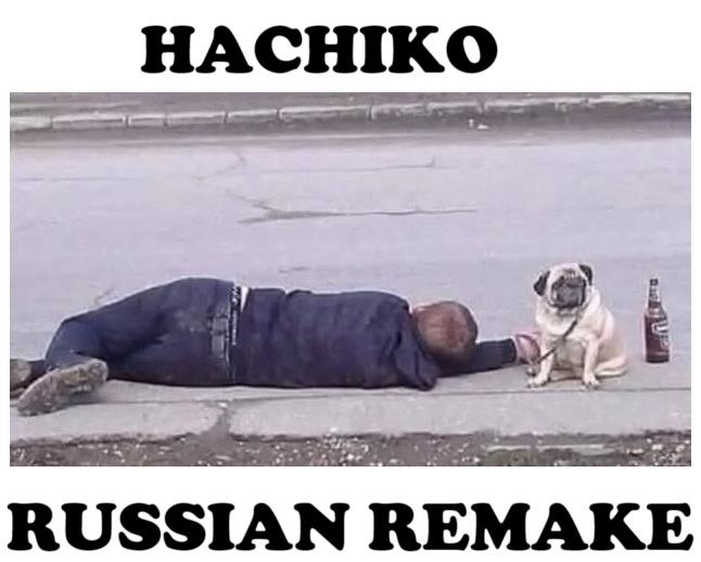 Obrázek hachiko
