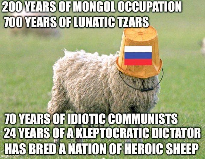 Obrázek heroic sheep