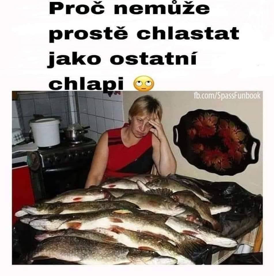 Obrázek jdemeNaRybyNeNaPivo
