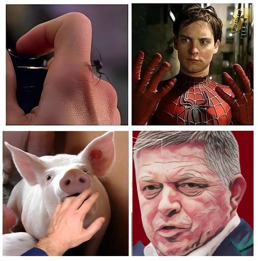 Obrázek knedloveprik updated