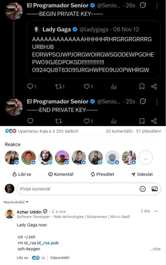 Obrázek lady gaga id rsa pub