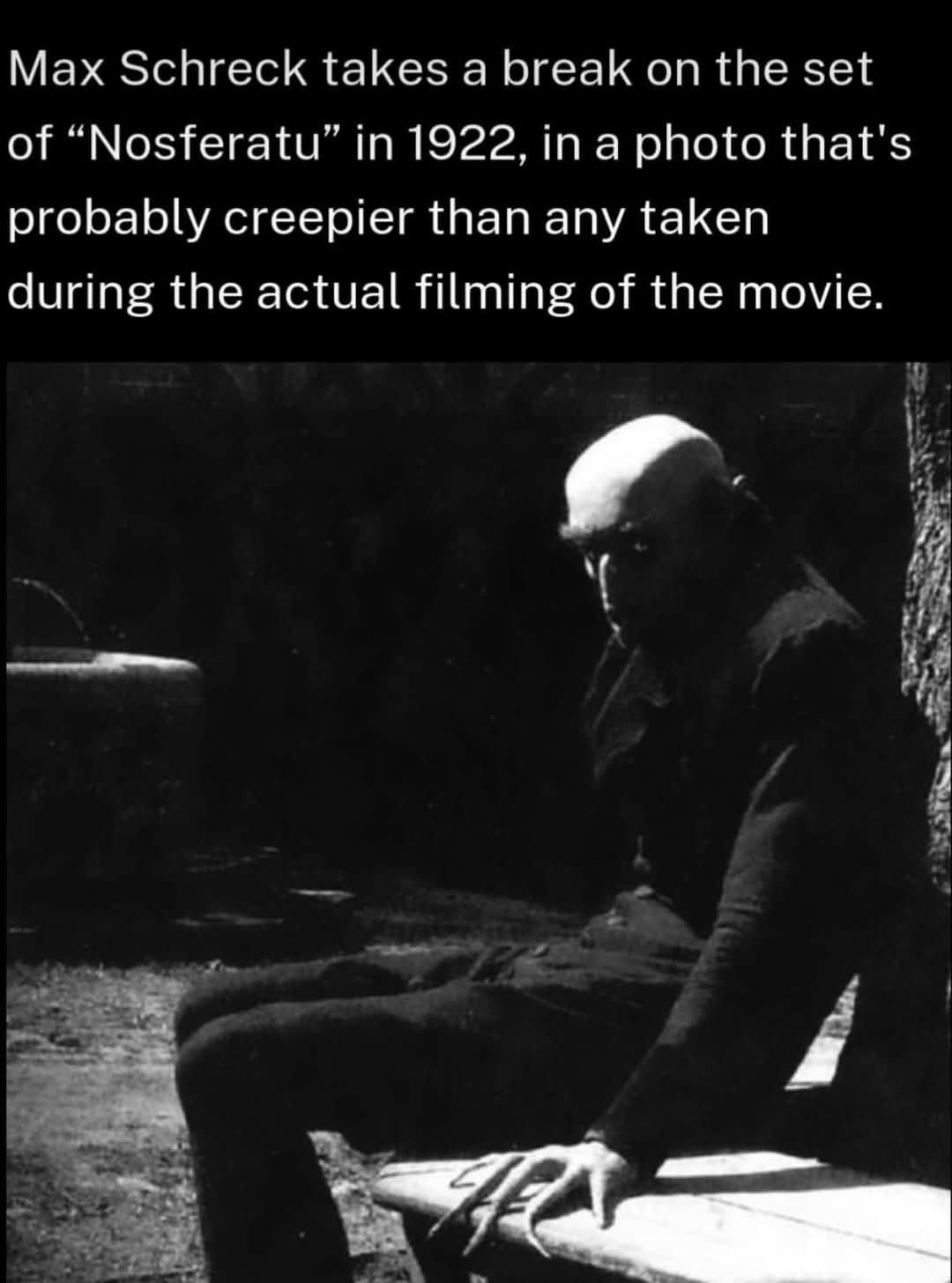 Obrázek max schreck