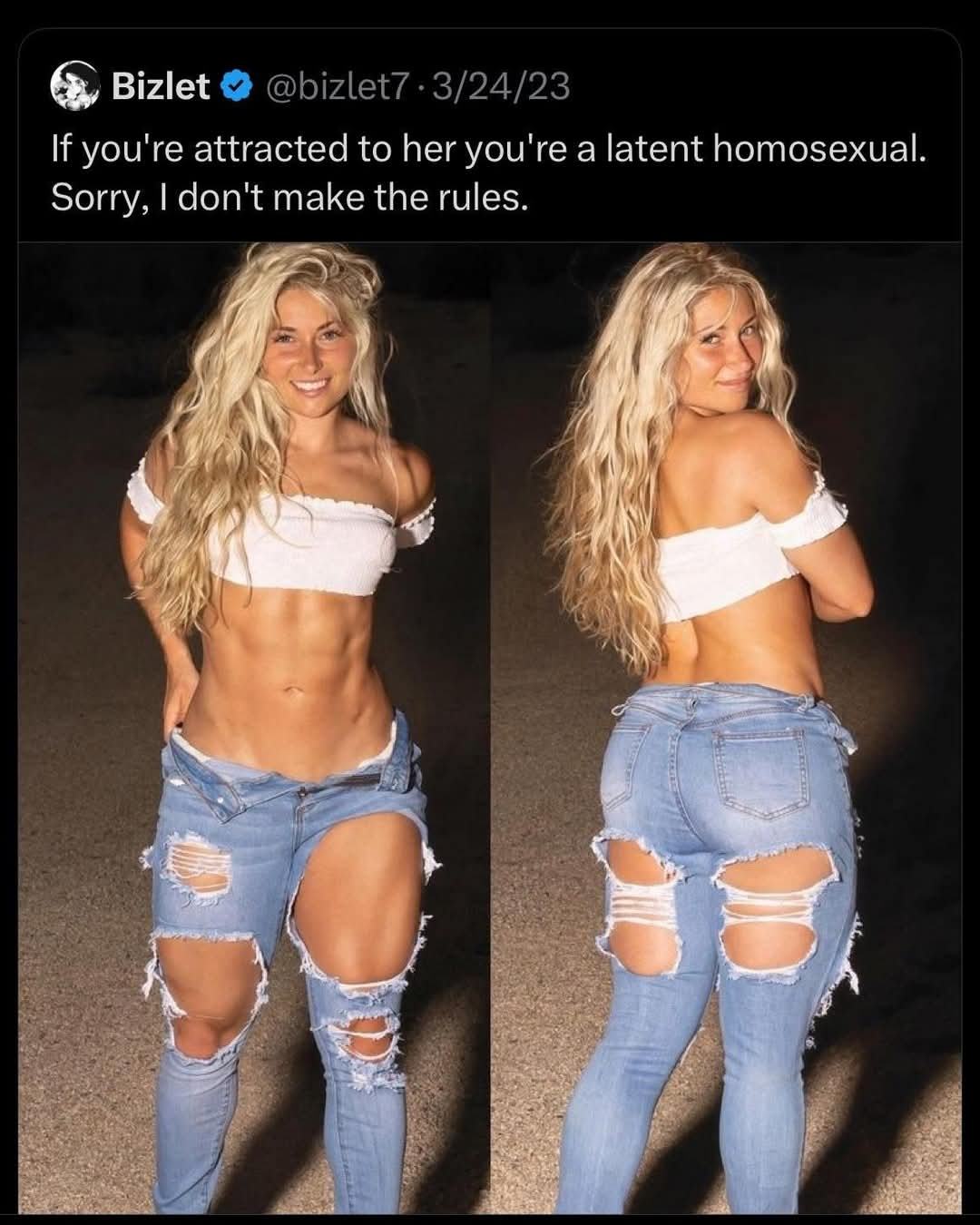 Obrázek officially homo