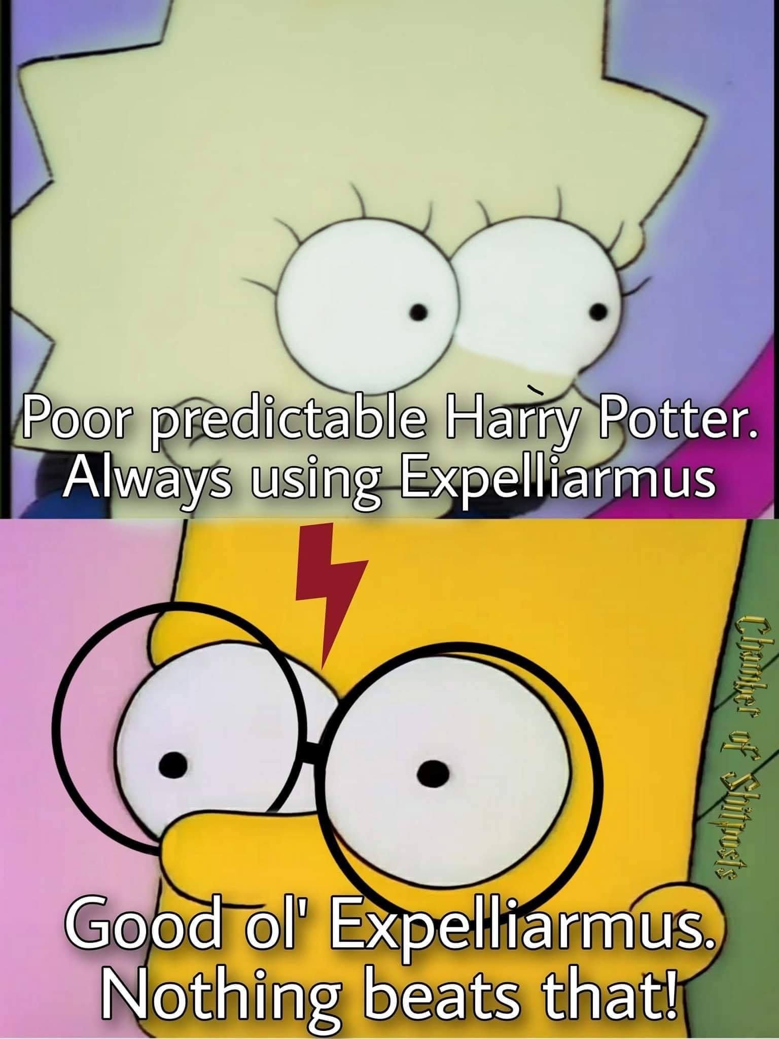 Obrázek poor predictible harry