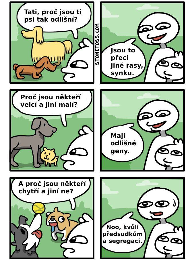 Obrázek psi