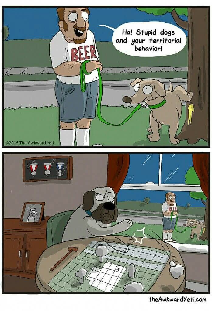 Obrázek psi sachy