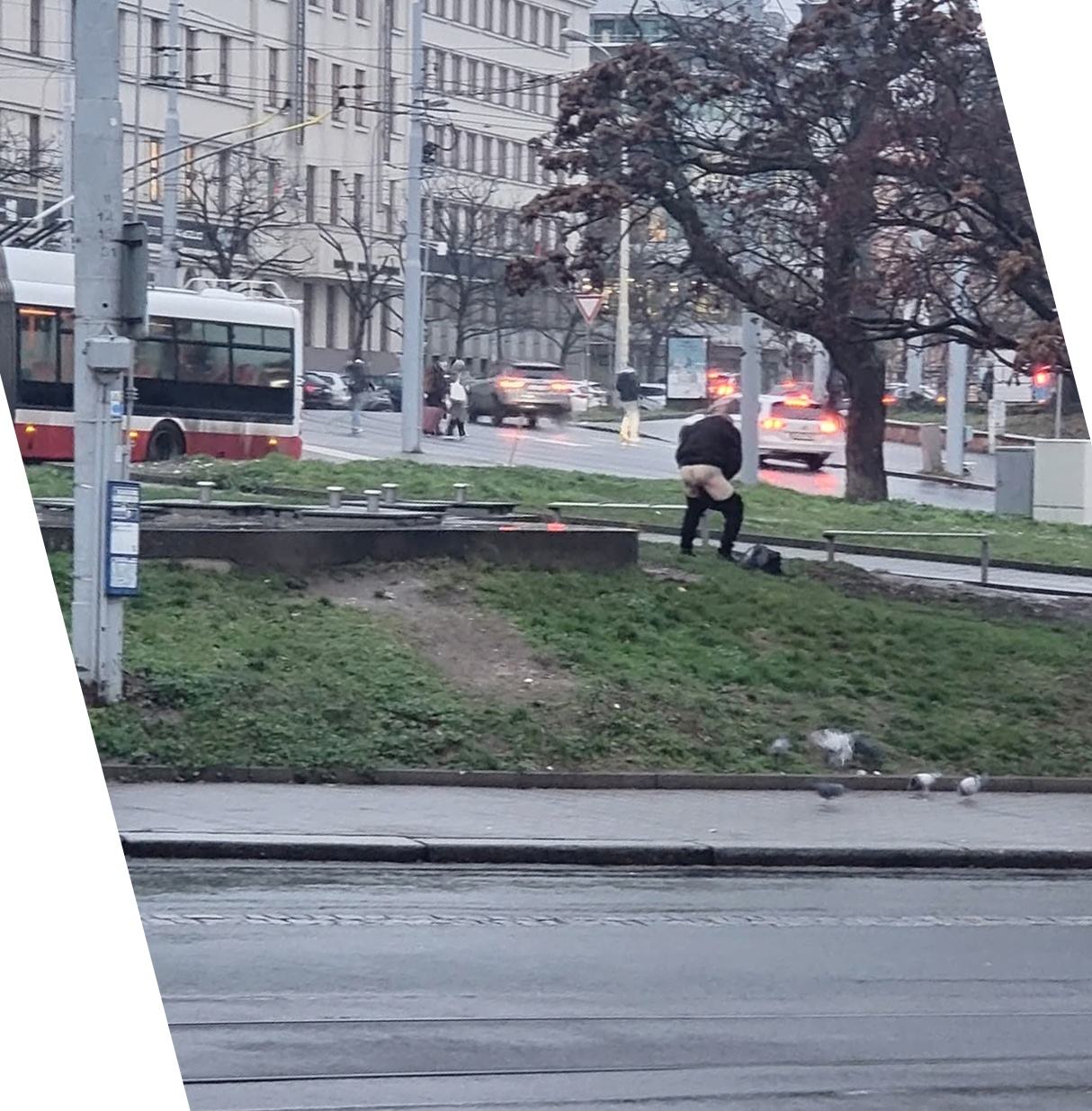 Obrázek roumen se posral