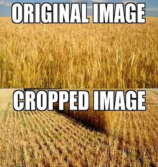 Obrázek rozdiel je jasny