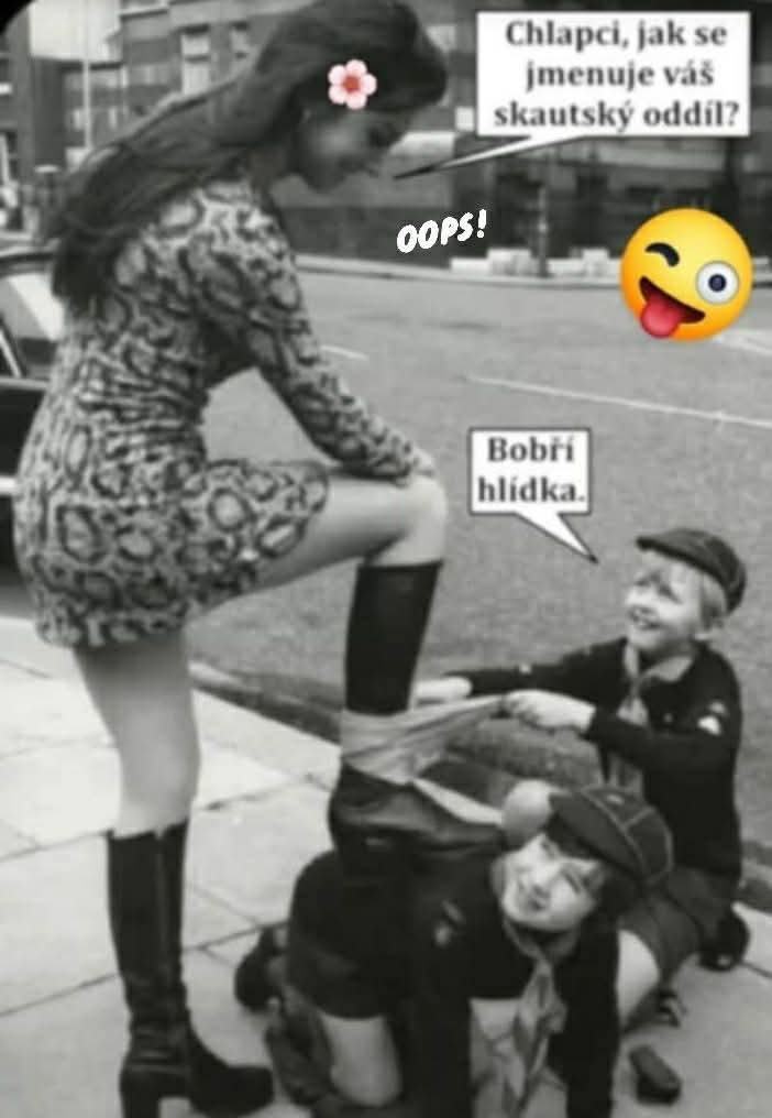 Obrázek skauten zeigen