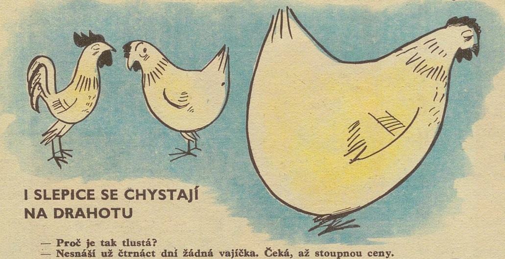 Obrázek slepice pro Moduse