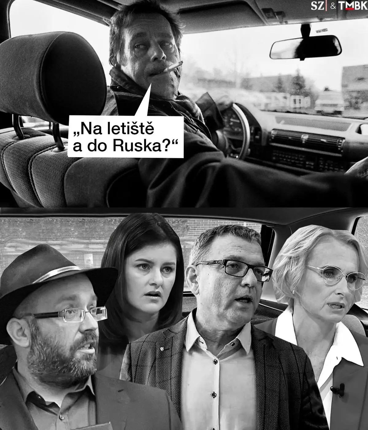 Obrázek stehovavi ptaci