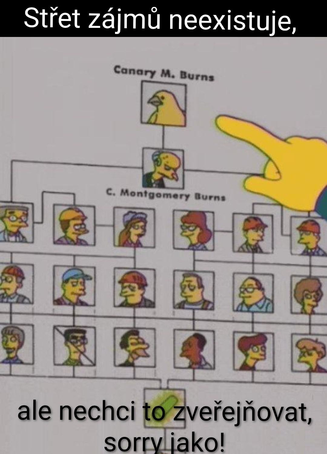 Obrázek stret zajmu neni