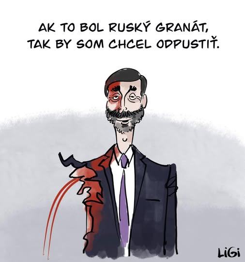 Obrázek sudruh idiot