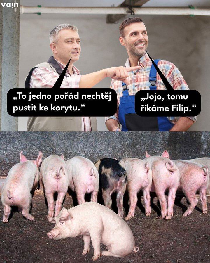 Obrázek tak&nbsp;ale&nbsp;filipe