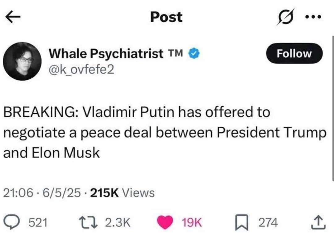 Obrázek takychcimir