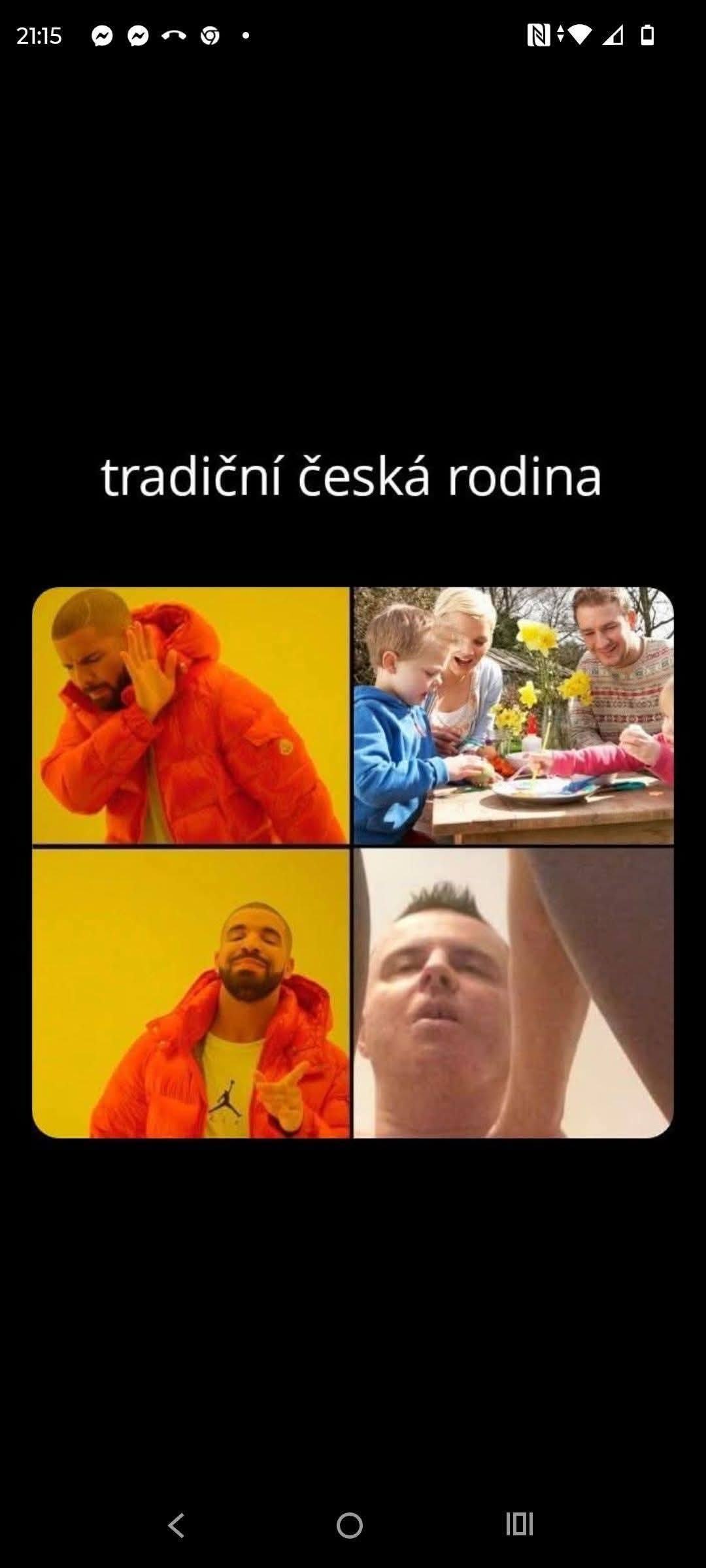 Obrázek tradicni rodina podle nove vlady