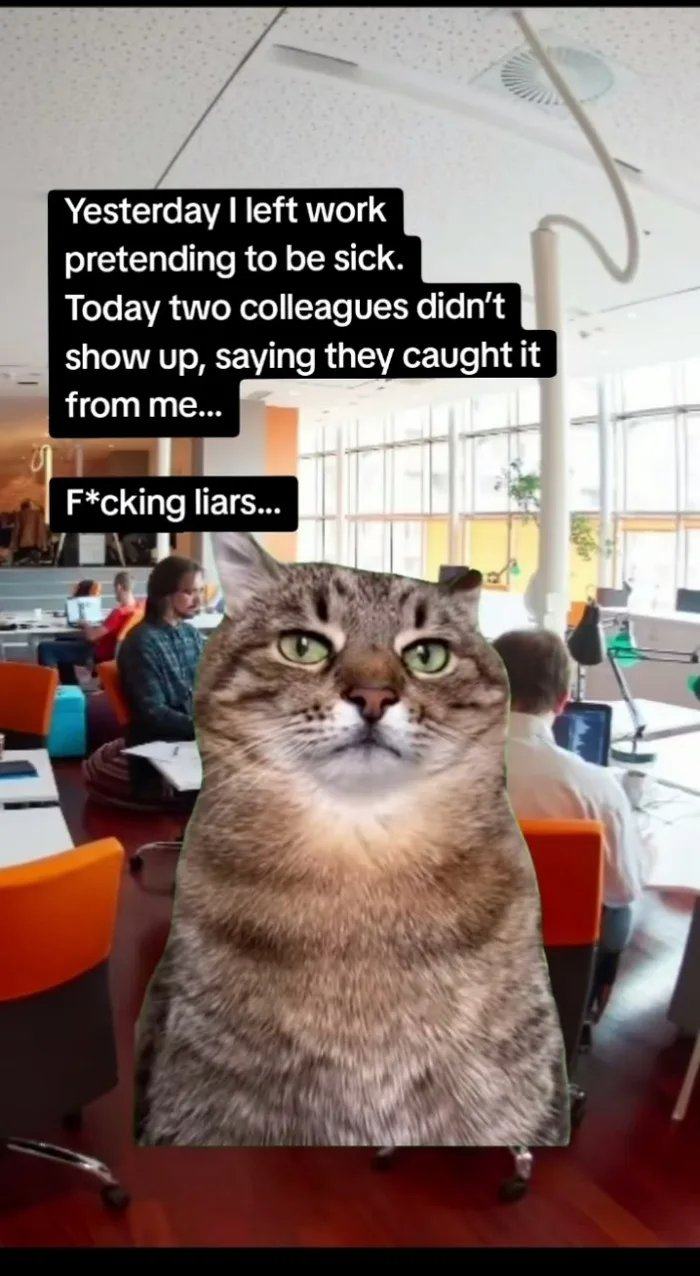 Obrázek ulhani kolegove