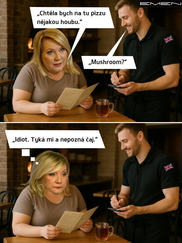 Obrázek viivilsii