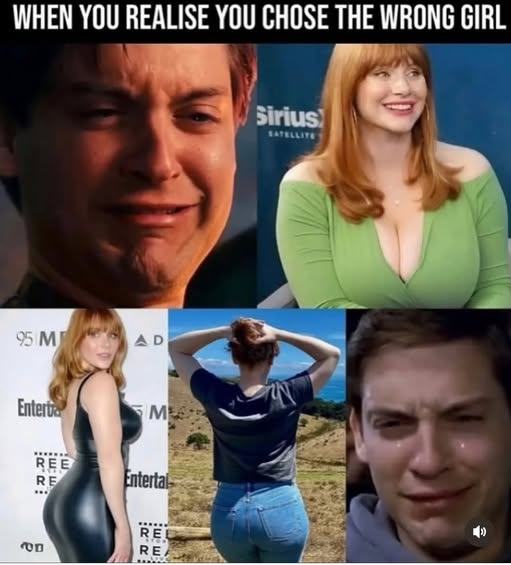 Obrázek when you realise