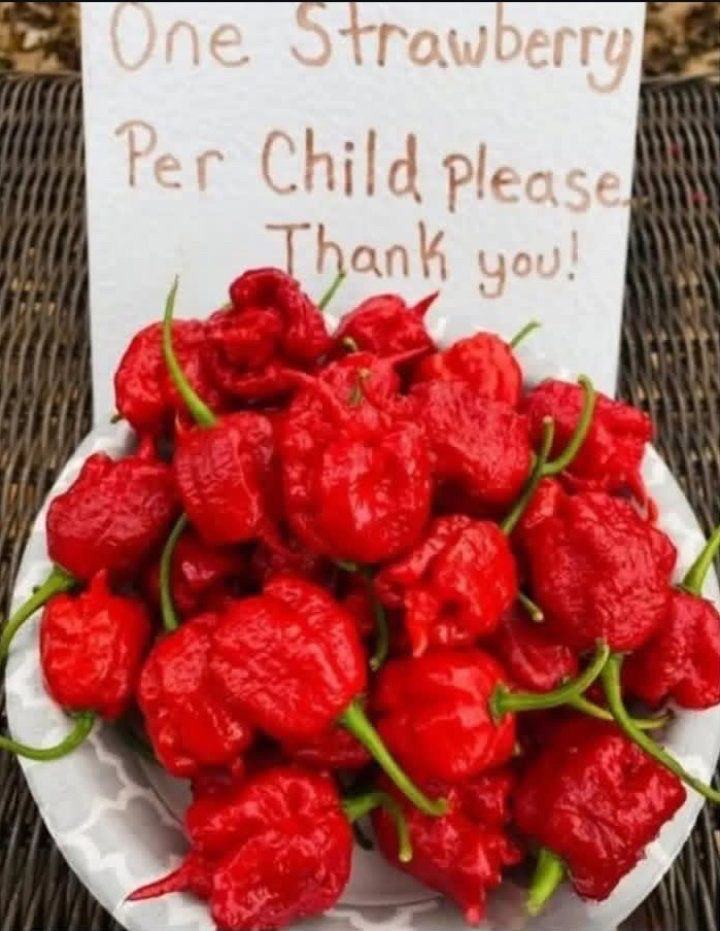 Obrázek xyz onestrawberry
