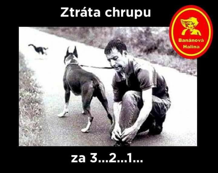 Obrázek ztrata